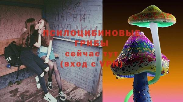 кокаин Богданович