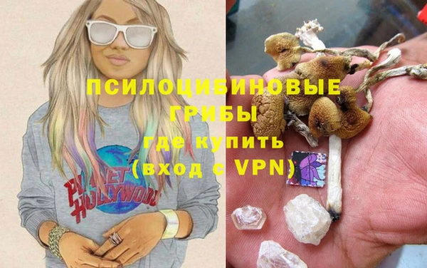 кокаин Богданович